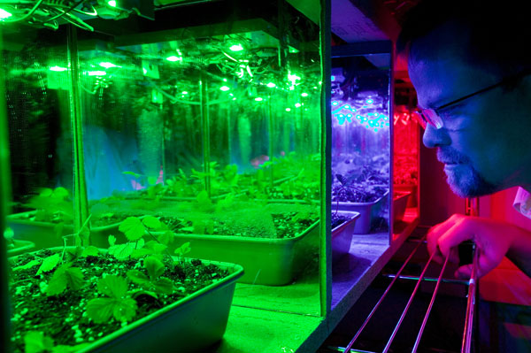 Astronauts can grow vegetables with LED lighting technologies